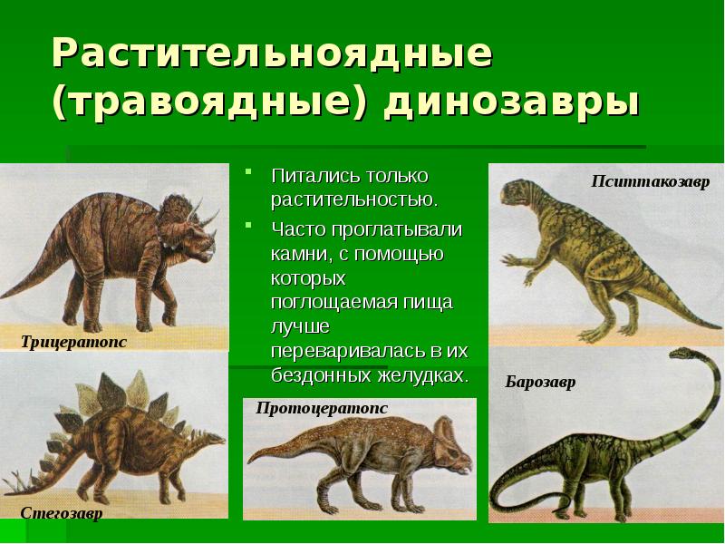 Открытки